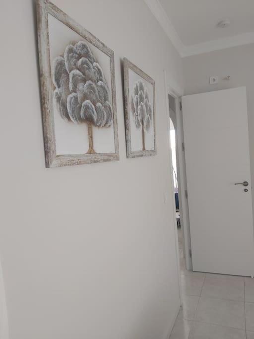 Apartment 360° Seaview Benalbeach *
